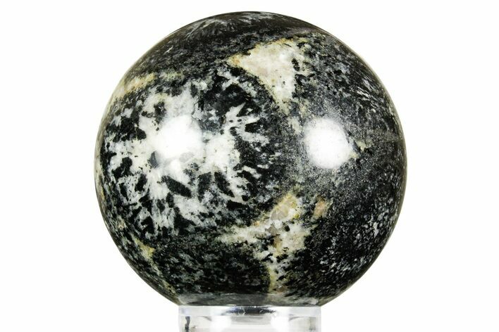 Polished Orbicular Granite Sphere - Western Australia #371221